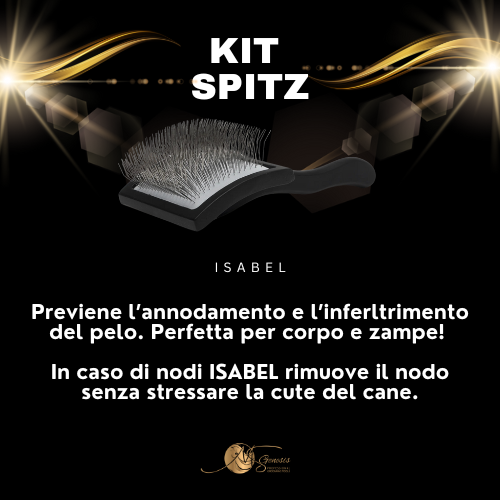 Kits Spitz