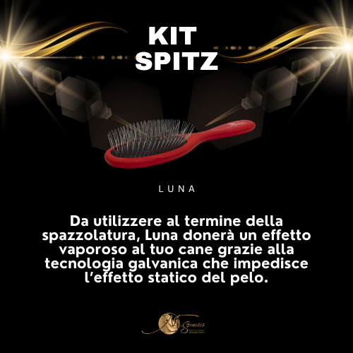 Kits Spitz