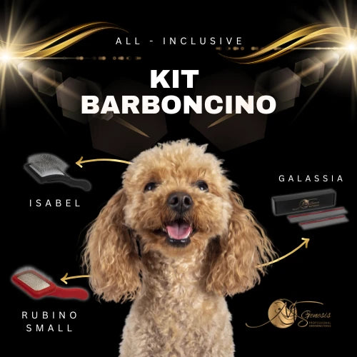 Kits complets