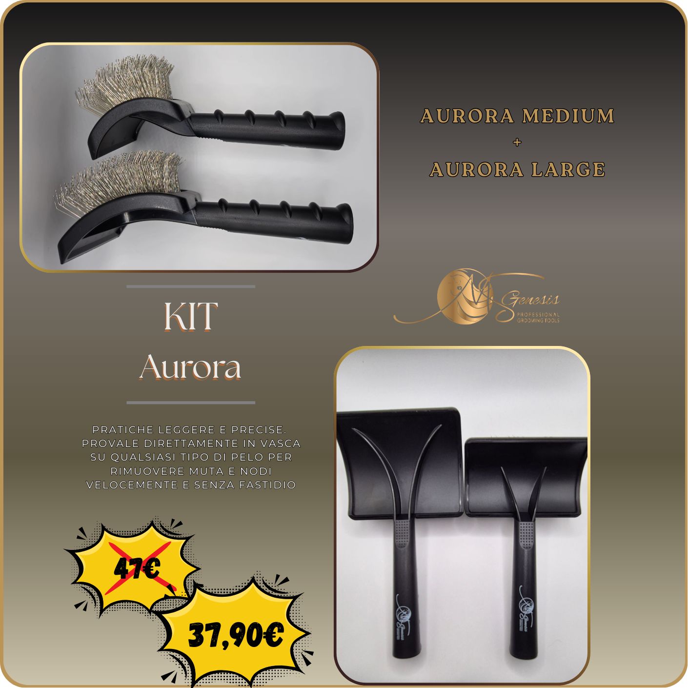 Kit Aurora