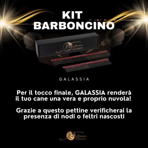 Kit Caniche