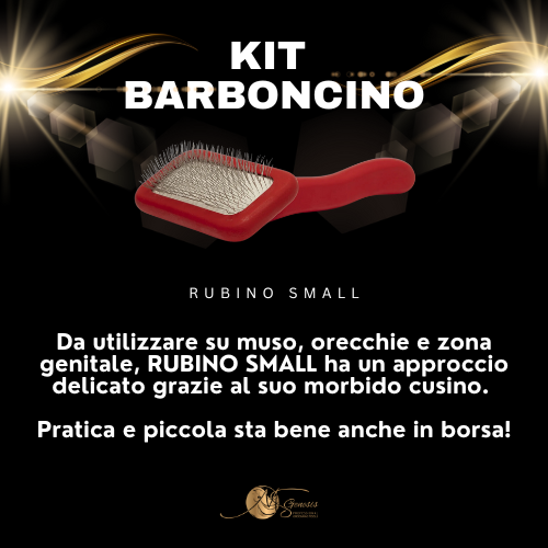 Kit Caniche