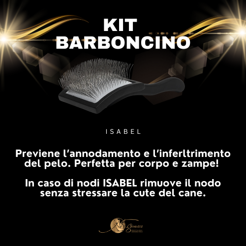Kit Caniche
