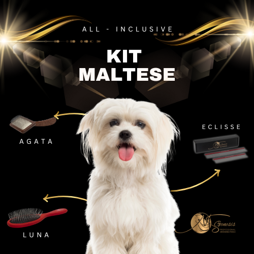 Kit maltais
