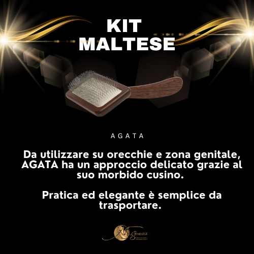 Kit maltais