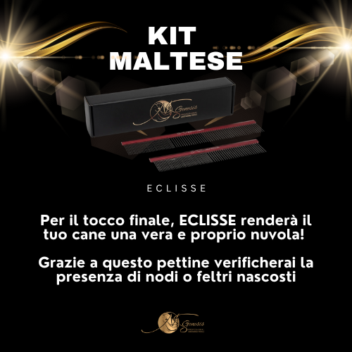 Kit maltais