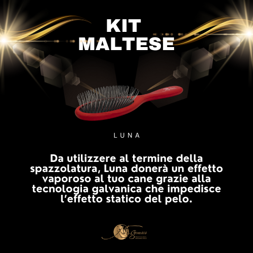 Kit maltais