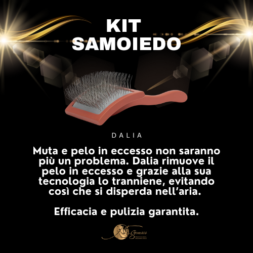 Trousse Samoyède