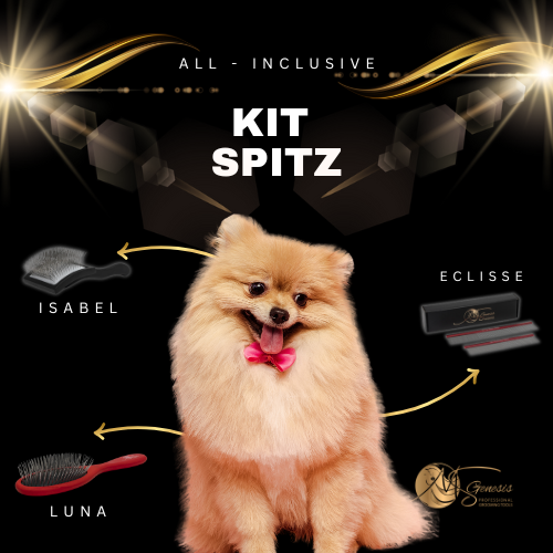 Kits Spitz