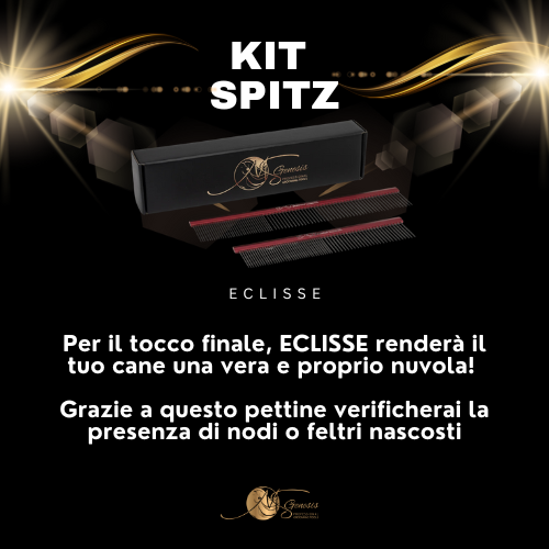Kits Spitz